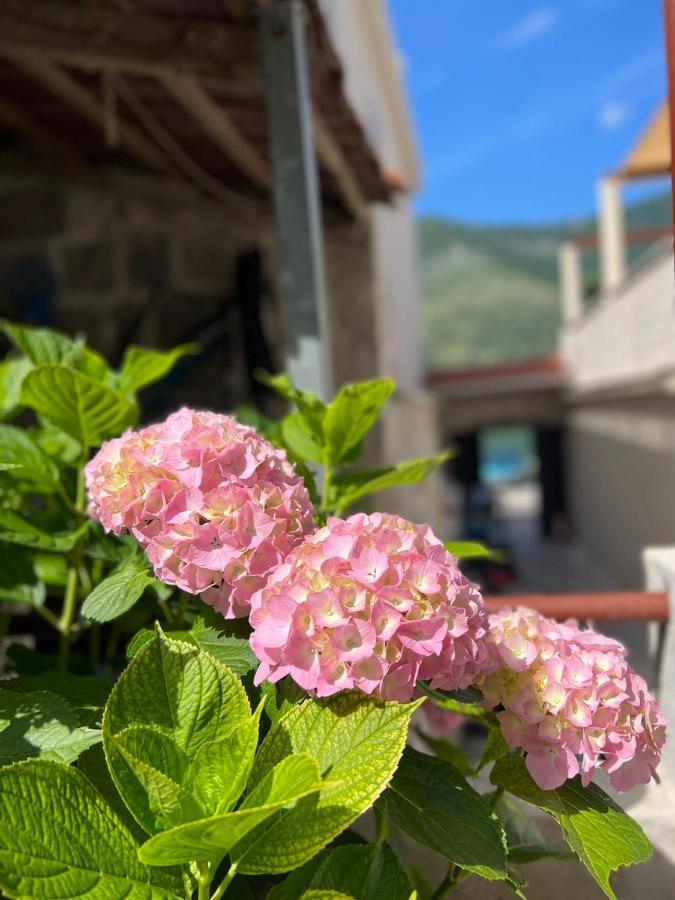 Sea Front 171 Apartment Kotor Luaran gambar