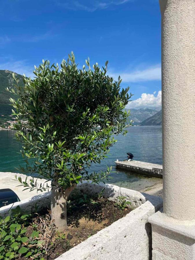 Sea Front 171 Apartment Kotor Luaran gambar